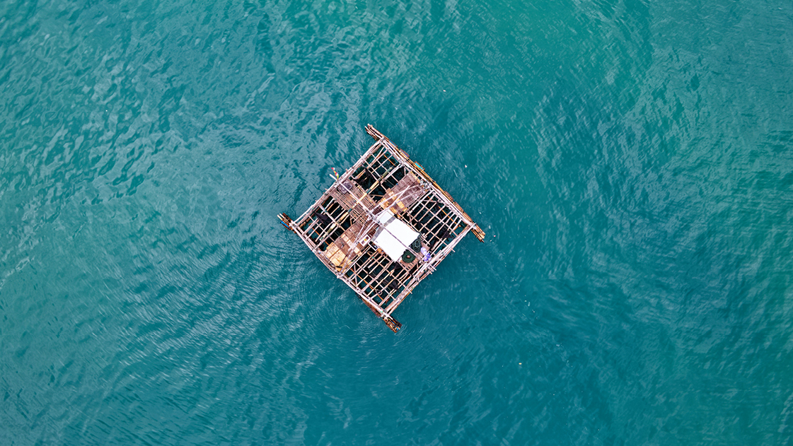 A raft in the ocean for the flotillins banner