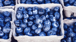 thiol antioxidant banner. Jars of blueberries.