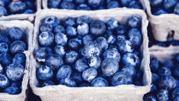 thiol antioxidant banner. Jars of blueberries.