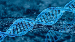 cancer not genetic genes DNA