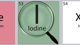 Image for iodine deficiency article.
