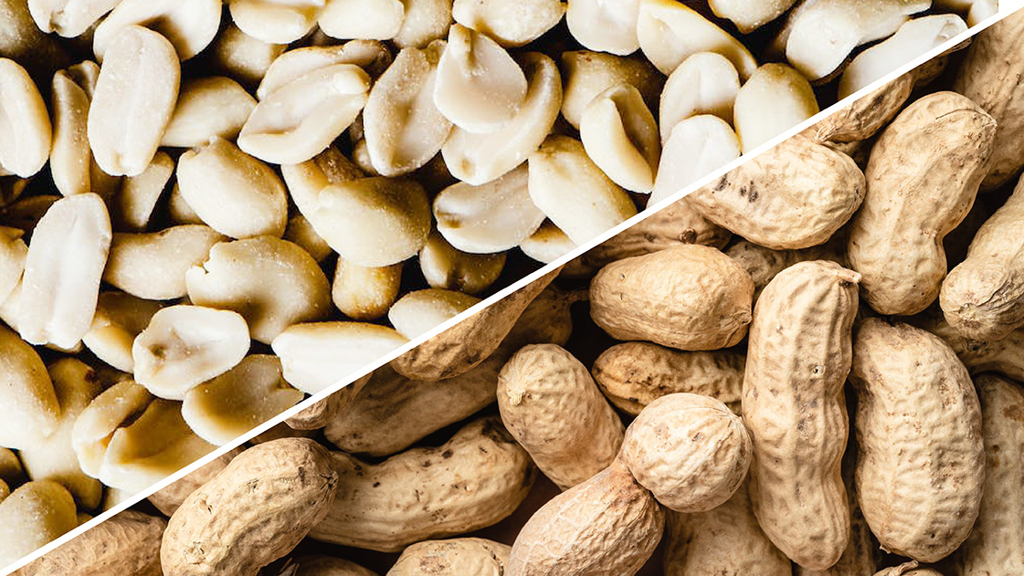 Peanuts shown without and with shells, separated by a diagonal divide.