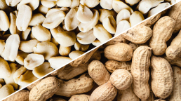 Peanuts shown without and with shells, separated by a diagonal divide.
