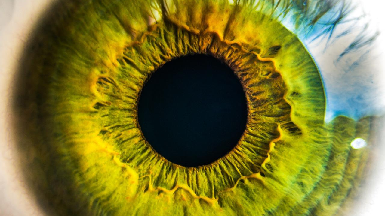 Up close shot of a green eye iris.