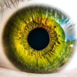 Up close shot of a green eye iris.