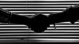 A handshake in front of dimmed blinds.