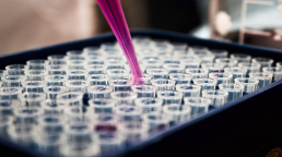Breast cancer research, a pipette holding pink liquid.