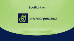 Spotlight on Microorganisms banner