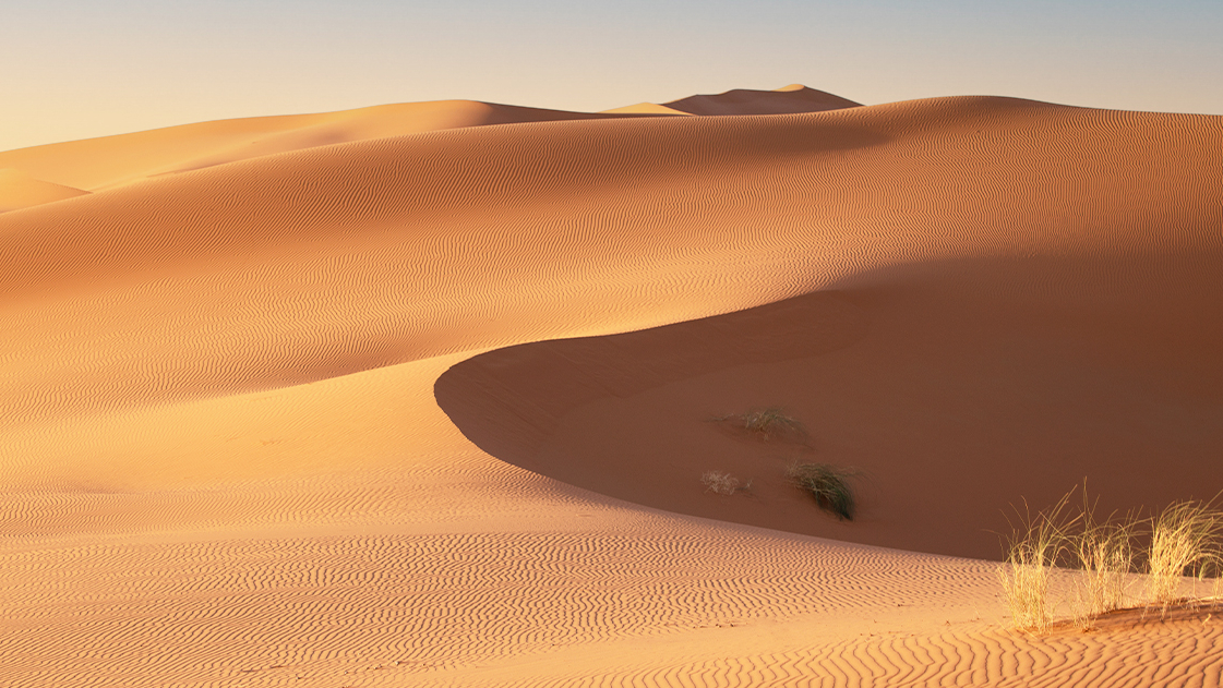 Eating sand like this is very bad for you (image of a desert).