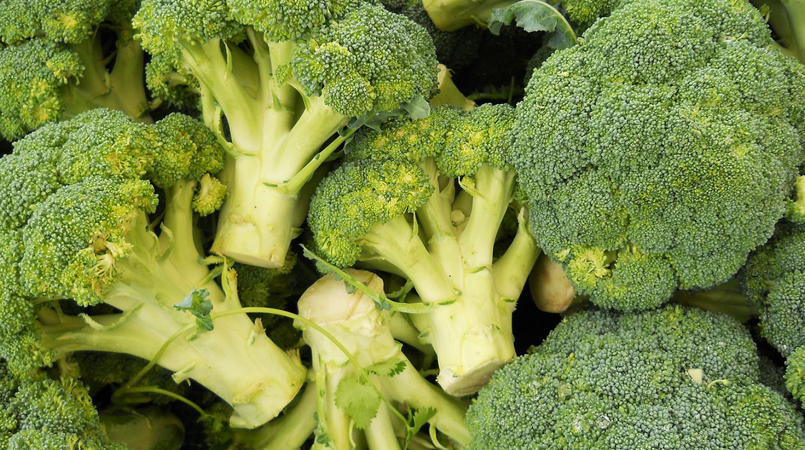 Broccoli article for Blog Team Update.
