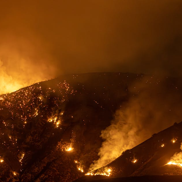 wildfires