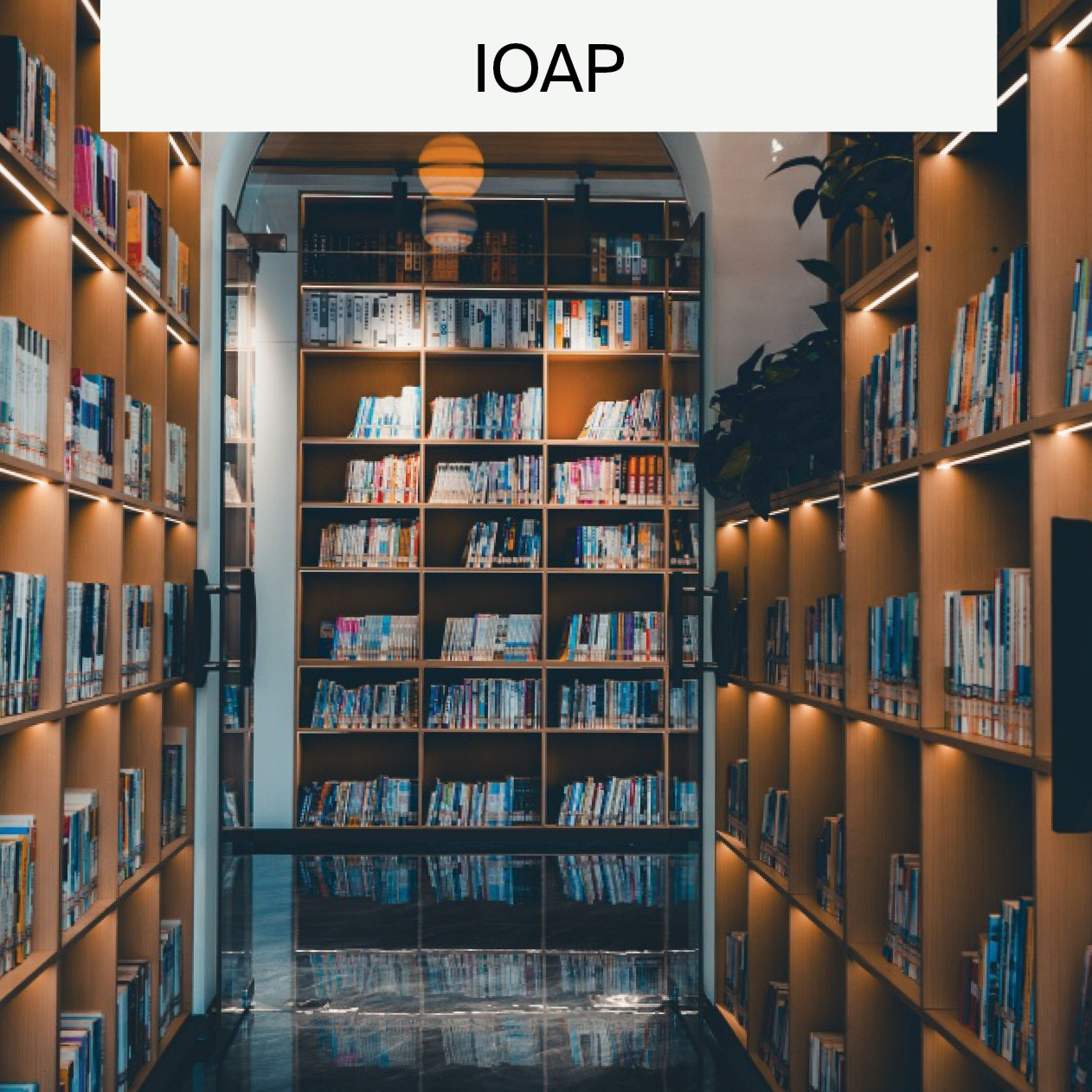 IOAP Blog Banner